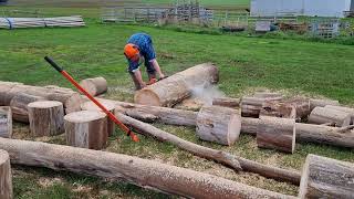 #chainsaw #stihl 064 throwing some chips around..