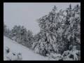 Why Montana Is Scarcely Populated