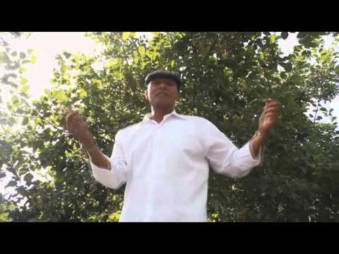 KARIL MENDOZA - CORAZON SALSERO (FT. SHERAR)