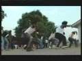 Zule Zoo Chamdooga