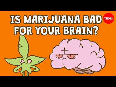 סרטון הסבר על הקשר בין שימוש במריחואנה לנזק מוחי