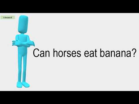 download lagu mp3 mp4 Can Horses Eat Bananas, download lagu Can Horses Eat Bananas gratis, unduh video klip Can Horses Eat Bananas