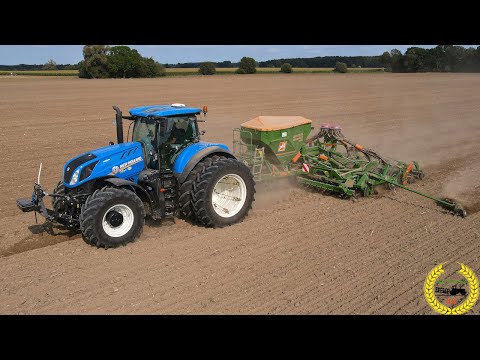 Aussaat und Grubbern mit 2 x T7.275 New Holland | Amazone | Köckerling | Weizen Drillen
