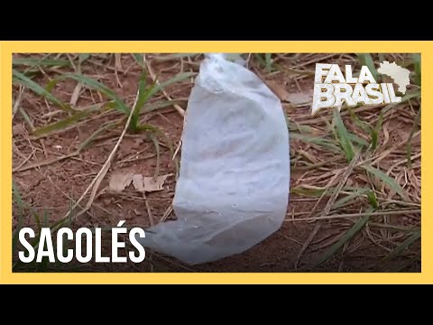 Jovem é agredido por adolescentes que brincavam da "Guerra do Sacolé"