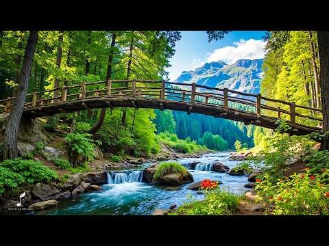 Soft and relaxing music 🌿 Relaxing piano music helps heal the soul.
