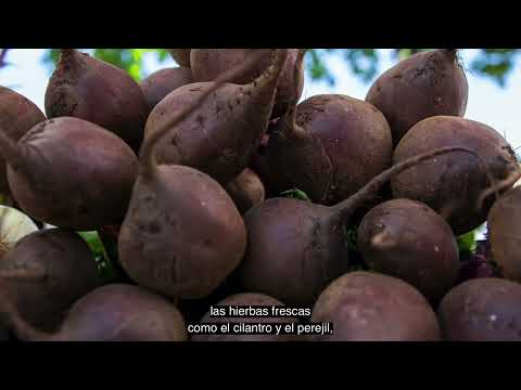 Part 3: Creating an Attractive Produce Display in Your Store