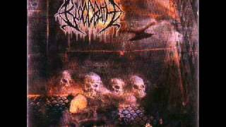Bloodbath - Blood Vortex