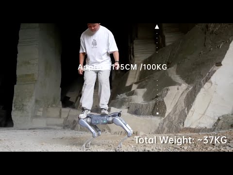 Vidéo YouTube - Nlh0jtkBRtM