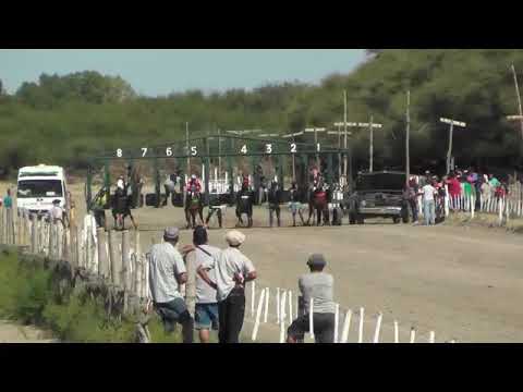 MAINQUE   2°   DOÑA CLARA   5-2-23