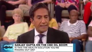 Download lagu Dr  Oz & The CBD Oil Boom   2018 mp3