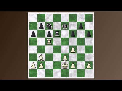 Zurich 1953 round 10: Najdorf vs. Stahlberg