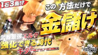 【マビノギ】まさに1石3鳥!?「金儲け」をしてるだけで最強エルグ強化できる時代キターー!!!