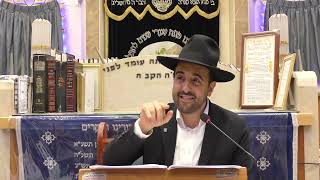 הרב מאיר אליהו | מתקפת סייבר | יזדים חשון תשפ"ו (רבנים שונים) - התמונה מוצגת ישירות מתוך אתר האינטרנט יוטיוב. זכויות היוצרים בתמונה שייכות ליוצרה. קישור קרדיט למקור התוכן נמצא בתוך דף הסרטון הרב מאיר אליהו | מתקפת סייבר | יזדים חשון תשפ"ו (רבנים שונים) - התמונה מוצגת ישירות מתוך אתר האינטרנט יוטיוב. זכויות היוצרים בתמונה שייכות ליוצרה. קישור קרדיט למקור התוכן נמצא בתוך דף הסרטון