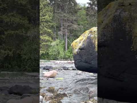 You Found The Balancing Rock In Haida Gwaii
