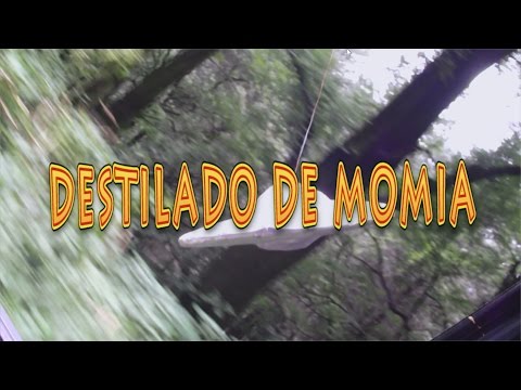 Viernes de Hongos - Destilado de Momia (official video)