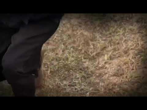 Cala Boca Vc Fuma! - Trailer Oficial