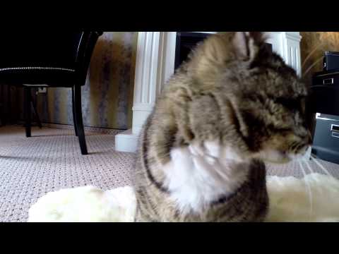 Vila PORTOBELLA Boutique ☆☆☆☆  2014