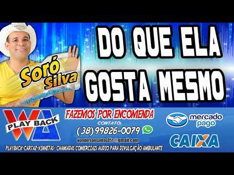 Do Que Ela Gosta Mesmo - Soró Silva