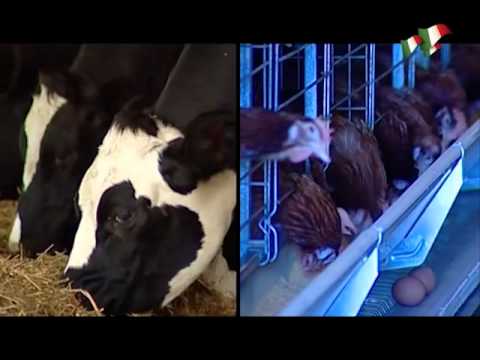 Decimoputzu - speciale 150 anni