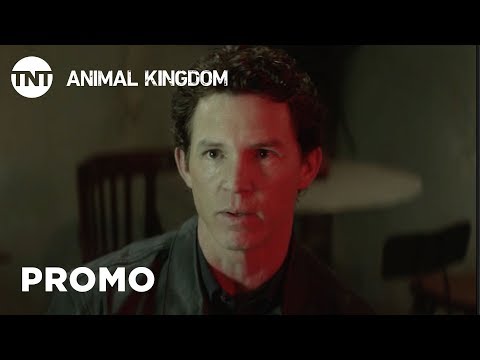 afbeelding Animal Kingdom: Danger - Season 3 Premieres May 29 [PROMO] | TNT