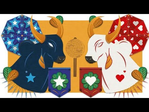 Especial: Festival de Parintins 2019- Terceira Noite! #FiqueEmCasa