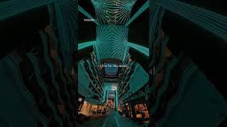 I live for moment like this.No rush, no plans — the World Promenade on MSC World Europa