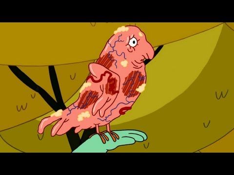 Magic Man Adventure Time Voice Actor