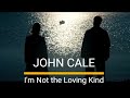 JOHN CALE I M Not The Loving Kind Vcl Kristín Anna Valtysdottír Soundtrack A Letter From Helga