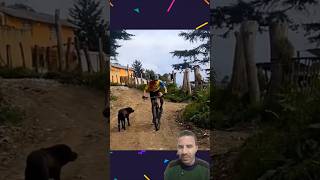 Cachorro Sem Vontade Até Pra Latir no Ciclista! 🐶🚴😂