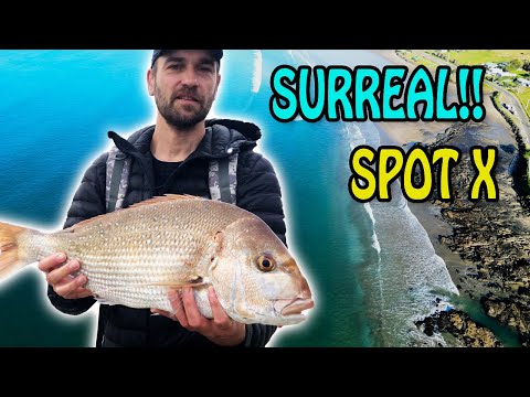 Exploring the 90 Mile Beach And Ahipara - Amazing Fishing Spots, NZ