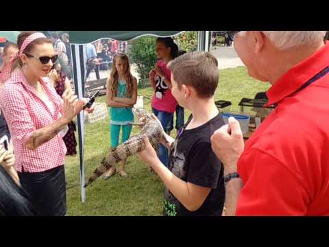 zooderminis Tierparkfest 2015 Kaiman Sammy