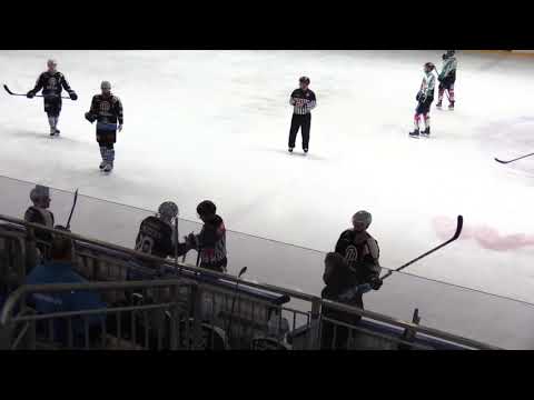 EXA Icefighters Leipzig -  ESC Wohnbau Moskitos Essen 1. Drittel