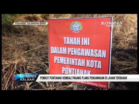 Impaza ulasan efek samping laki-laki Ayat yang menggairahkan Wanita
