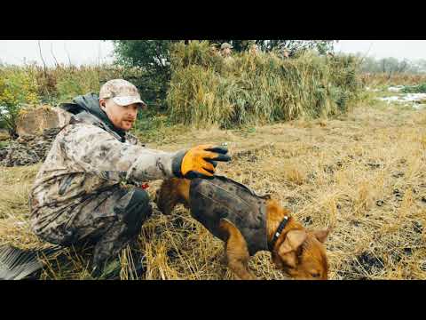 Multi-Species Goose Hunting  - Waterfowl Hunting Experiences