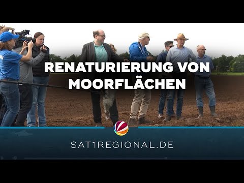 Renaturierung von Moorflächen: Niedersachsens Umweltminister schaut sich Projekt bei Cuxhaven an