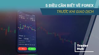 5 ĐIỀU CẦN BIẾT VỀ FOREX TRƯỚC KHI GIAO DỊCH - TRADERHUB