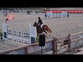 Vends cheval de sport de 8 ans