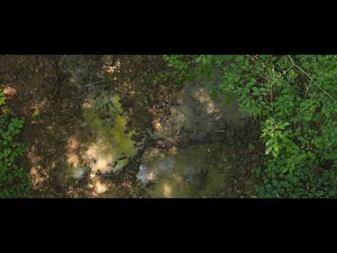 50 acres Seal Chapel Rd Tazewell Tn 99K