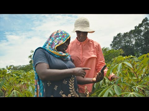 TensorFlow: an ML platform for solving impactful and challenging problems