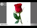 Oh Ranganatha Whatsapp Status Nesam Movie Ajith Kumar Maheswari
