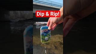 Ascended Heroes River Dip! Packs In The Wild -14 #pokemon #pokemoncards #pokemontcg #tcg