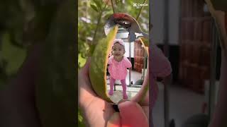 Download lagu aking pagmamahal mp3