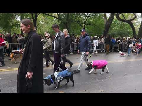 2023 10 21 HalloweenDogParade