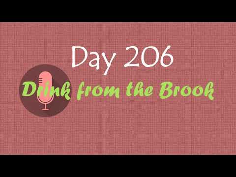 【Drink from the Brook】：Day 206