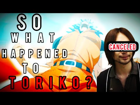 What Actually Happened To Toriko???!