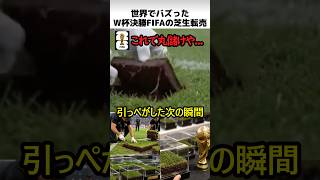 W杯決勝のFIFA芝生転売