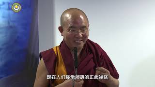 36-跨越历史的柔波 >> 20151020 伦敦政治经济学院 【佛教如何看待幸福2 幸福禅】