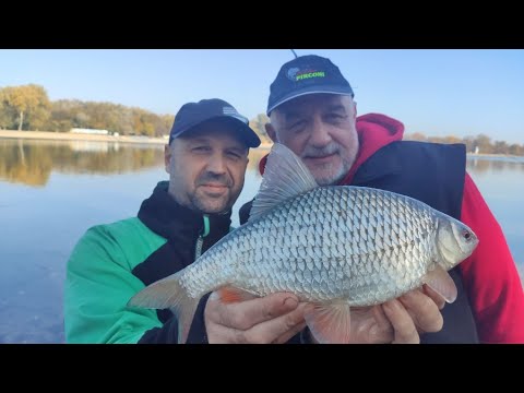 FEEDER DRUŽENJE NA ADI CIGANLIJI