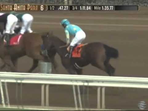 2014 FrontRunner Stakes - American Pharoah