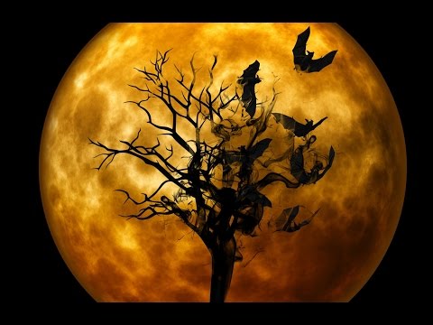 ૐ Chillout News ૐ Vol.17 / 09 - 2016 (Downtempo Psybient Psychill & more)